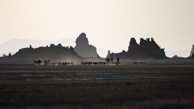 Djibouti